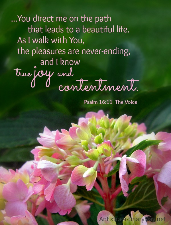 31Days~Day 6 :: Psalm 16:11 :: Be Joyful ~ True Joy and Contentment  ::  AnExtraordinaryDay.net