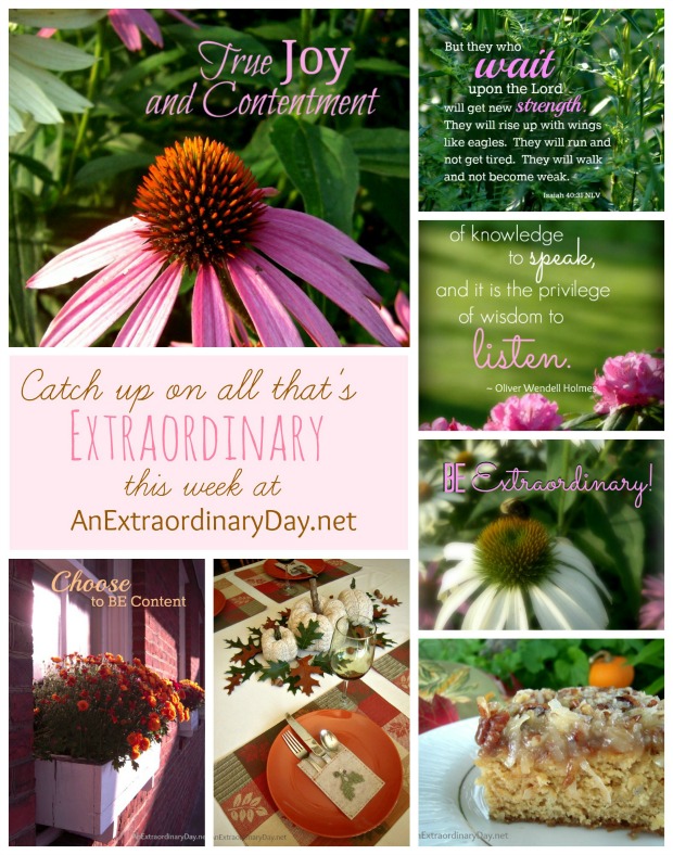 Day 12 of #31Days :: This Week at a Glance :: Be Extraordinary :: AnExtraordinaryDay.net