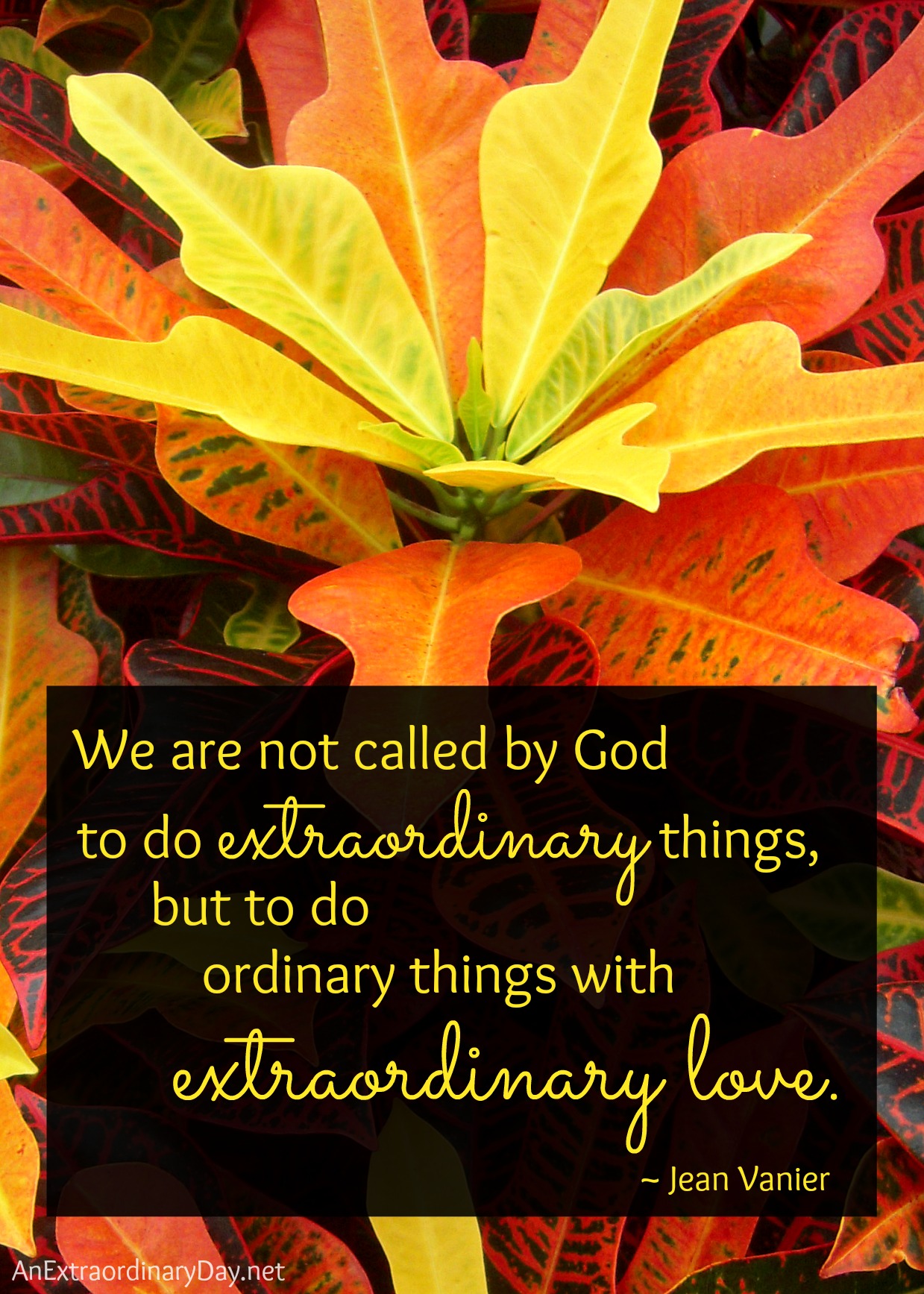 Day 26 of #31Days :  #ExtraordinaryQuote :: Do extraordinary things with love ::  AnExtraordinaryDay.net