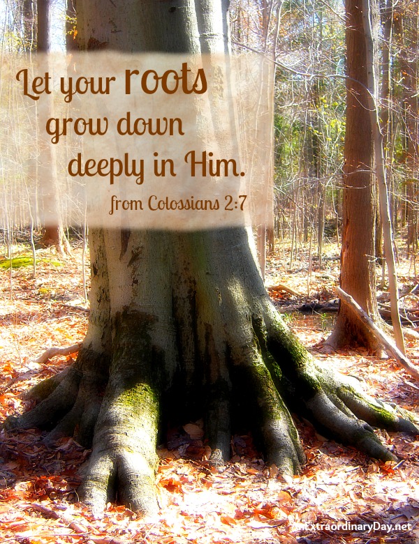 Day 4 - Be Strong ::  #Verse  Let your roots grow down deeply in Him. Colossians 27 ::AnExtraordinaryDay.net