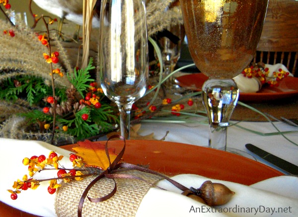 Acorns & Bittersweet in a Natural Styled Thanksgiving Tablescape :: AnExtraordinaryDay.net