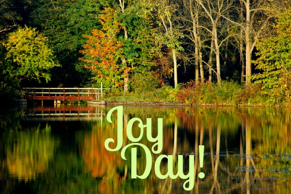 Get Joy :: Give Thanks by Counting Gifts :: AnExtraordinaryDay.net