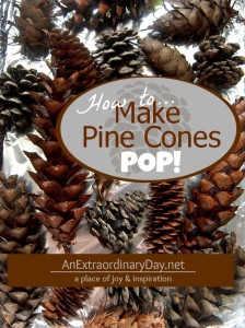 How to Make #PineCones Pop :: Dry and Debug Pine Cones :: AnExtraordinaryDay.net