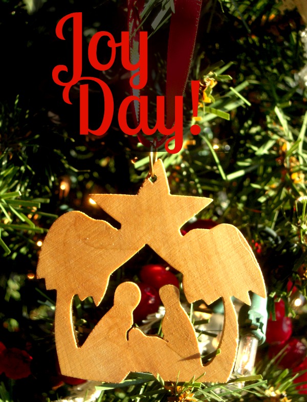JoyDay! :: First Sunday in Advent~We Light the Candle of Hope :: AnExtraordinaryDay.net