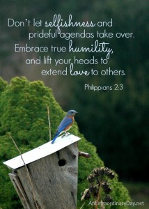 Ruffled Feathers :: #ScriptureQuote :: Philippians 2:3 ~ Don't let selfishness and prideful agendas take over. :: AnExtraordinaryDay.net