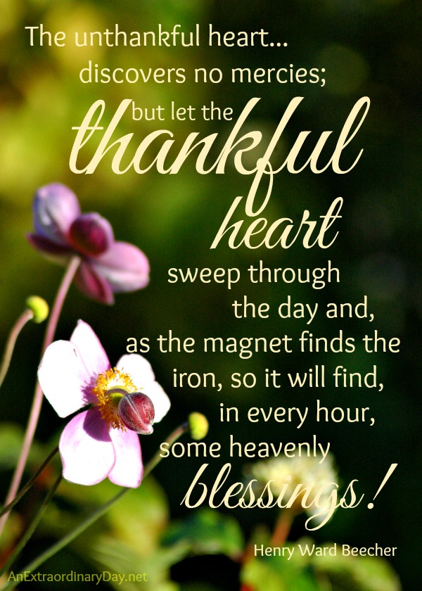 #Thankful Heart #Quote by Henry Ward Beecher :: Thankful Thursday :: AnExtraordinaryDay.net