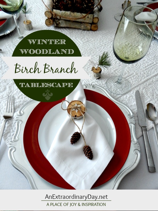 I love the frosty look of my birch branch winter woodland tablescape. Especially with a bit of whimsy at each table setting. Winter and snow comes whether we like it or not... so let's embrace the beauty of the season with a lovely table setting.