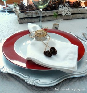 Birch Woodland Table Setting :: How to Make Birch Napkin Rings :: Tutorial :: AnExtraordinaryDay.net