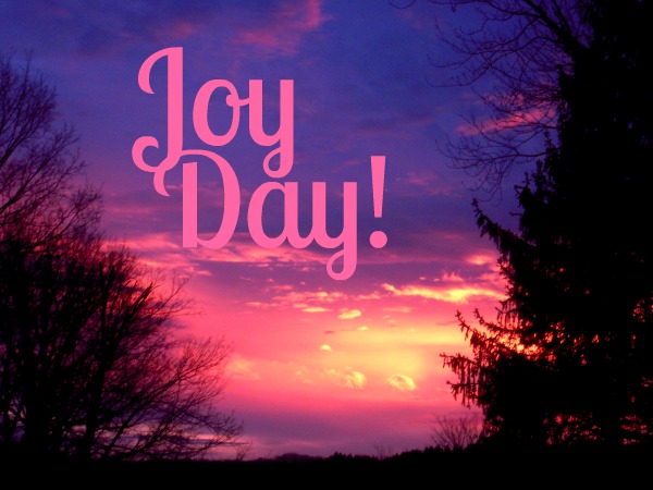 Isn't it comforting :: Joy Day! AnExtraordinaryDay.net