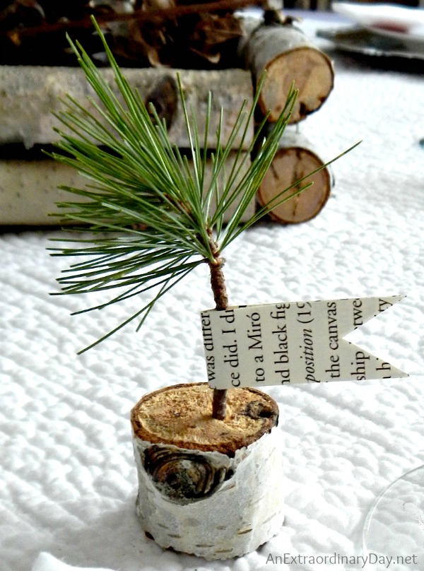 Birch Pine Sapling Favors :: Birch Branch Winter Woodland Tablescape :: AnExtraordinaryDay.net