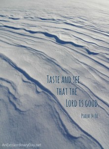 Taste and see that the Lord is good. ~Psalm 34:8a :: AnExtraordinaryDay.net