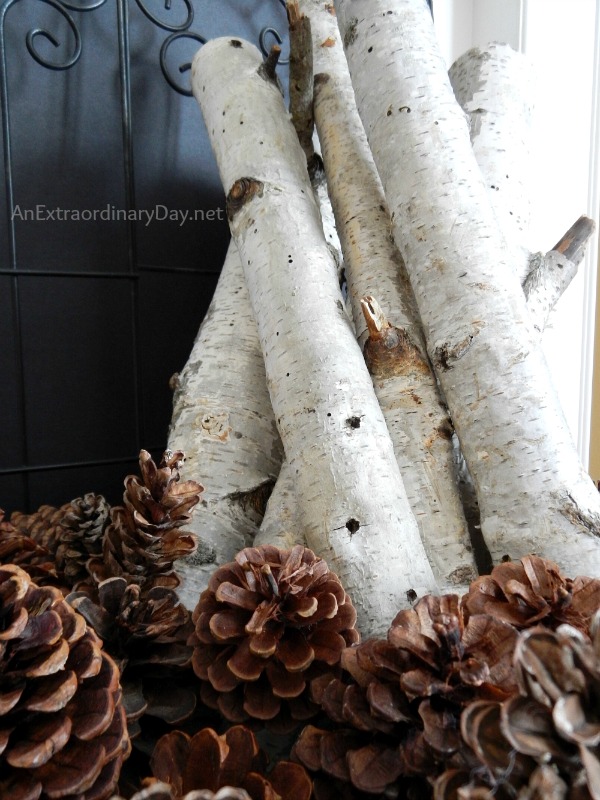 White Birch Fireplace Logs :: Decorating the Mantel for Winter :: AnExtraordinaryDay.net