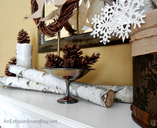 Woodland Details :: Decorating the Mantel for Winter :: AnExtraordinaryDay.net