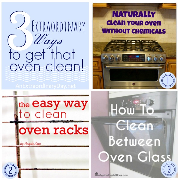  3 Extraordinary Ways to Get that Oven Clean ::  AnExtraordinaryDay.net