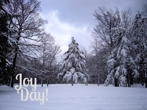 Joy Day!:: Snowscape :: AnExtraordinaryDay.net