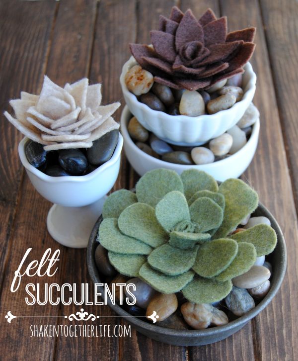 How to Make Felt Succulents by Shaken Together Life :: A Project Inspire{d} Feature at AnExtraordinaryDay.net