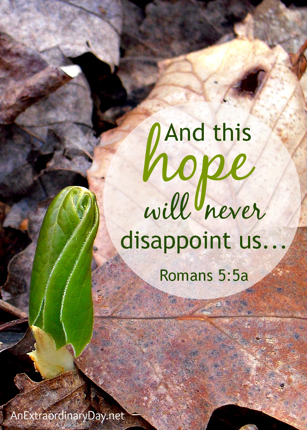 And this hope will never disappoint us... from Romans 5:5 :: AnExtraordinaryDay.net