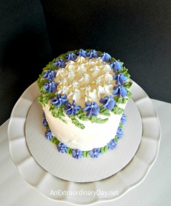 My First Attempt at Cake Decorating :: AnExtraordinaryDay.net