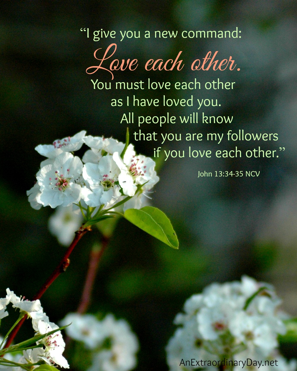 How do you want to be remembered? :: Love each other - John 13:34-35 :: AnExtraordinaryDay.net