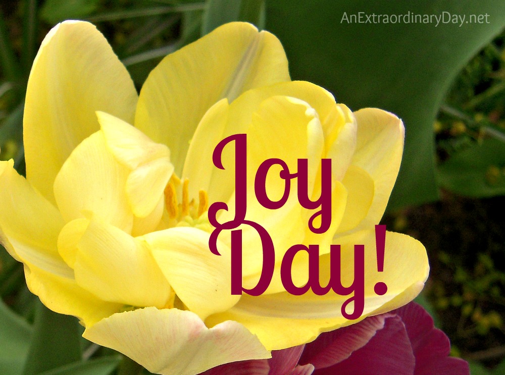 Joy Day! (Yellow Tulip) AnExtraordinaryDay.net