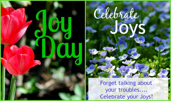 Joy on the Blog  :: AnExtraordinaryDay.net