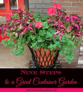 Nine Steps to a Great Container Garden - AnExtraordinaryDay.net