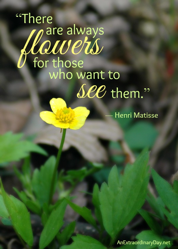 Flower Quote :: There are always flowers for those who want to see them. -Henri Matisse :: AnExtraordinaryDay.net