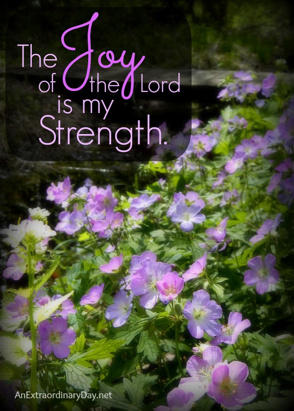 The Joy of the Lord is my Strength - Quote - AnExtraordinaryDay.net