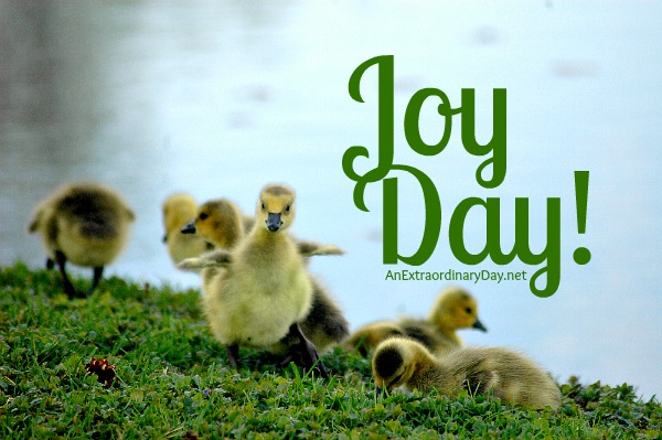Joy Day! :: Playing the Waiting Game :: AnExtraordinaryDay.net