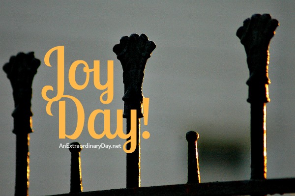 Joy Day! What do you expect when you pray? ::  AnExtraordinaryDay.net