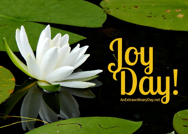 Joy Day! :: AnExtraordinaryDay.net  #CountBlessings  #Joy