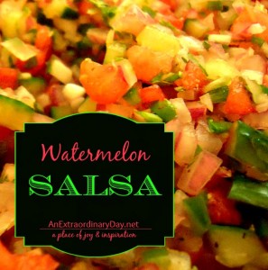 Watermelon Salsa Recipe :: AnExtraordinaryDay.net