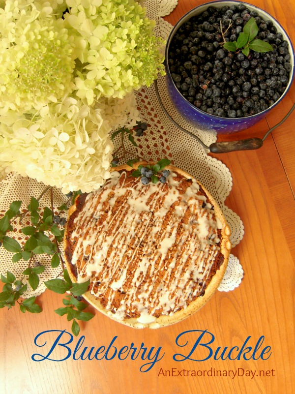 Delicious BLUEBERRY coffee cake like Grandma would have made