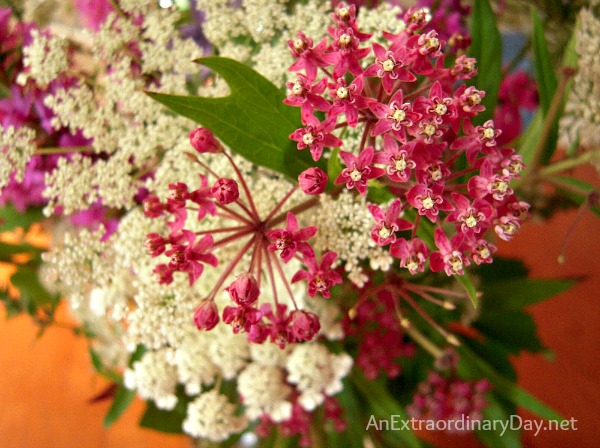 Butterfly Weed - Easy Wildflower Bouquet by AnExtraordinaryDay.net