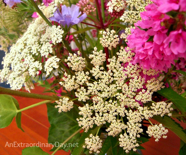 Queen Anne's Lace - Easy Wildflower Bouquet by AnExtraordinaryDay.net