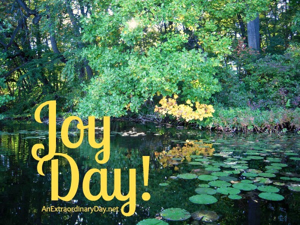 Joy Day!  In Awe of Autumn and Her Creator  AnExtraordinaryDay.net