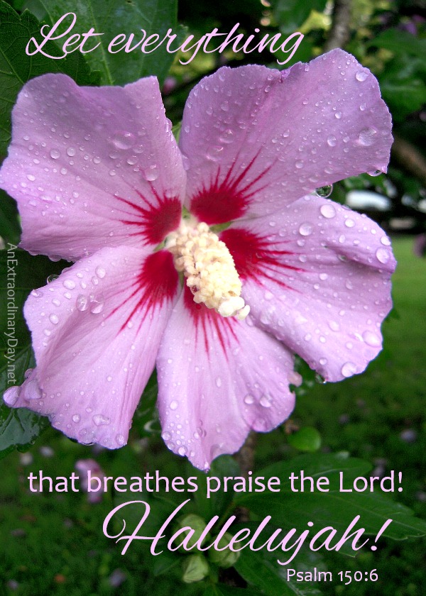 Let everything that breathes praise the Lord Psalm 150:6