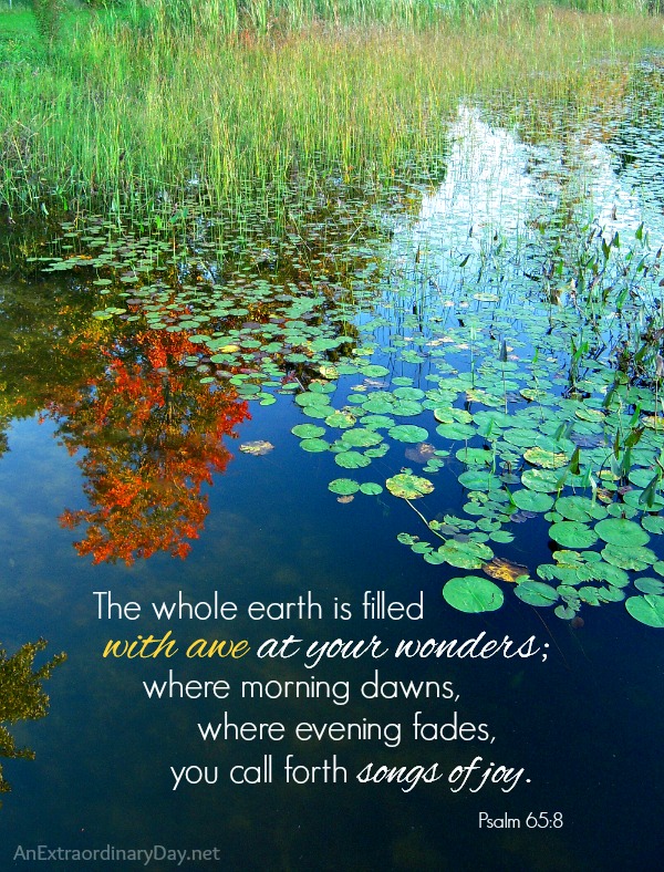 Psalm 65:8 :: The whole earth is filled with awe at your wonders :: AnExtraordinaryDay.net