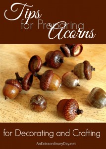 Tips for Preparing Acorns for Decorating and Crafting
