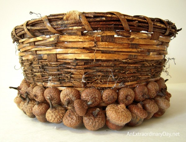 A row of acorns followed by a row of cap for this Acorn Oak Leaf Basket - AnExtraordinaryDay.net