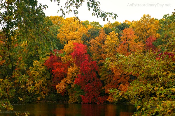 This gorgeous view of fall colors over the lake is one of God's richest gifts.