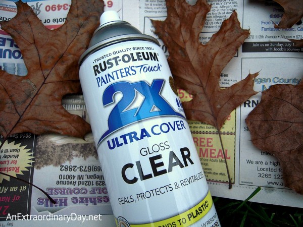 Use Rust-oleum Ultra Cover Clear to Protect Leaves for Home Decor