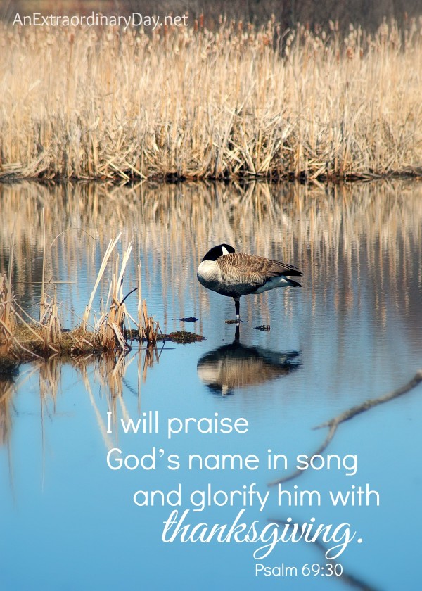 Thanksgiving scripture verse - Psalm 6930