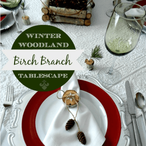 Birch Branch Winter Woodland Tablescape