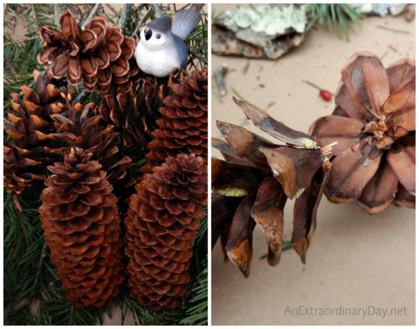 Pine cones are like brown flowers in a Christmas arrangement. AnExtraordinaryDay.net