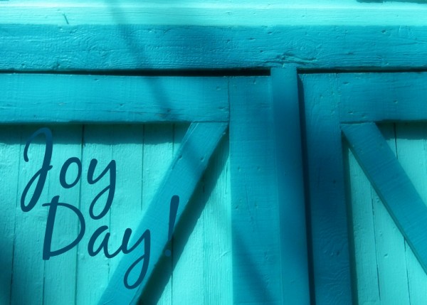 Aqua barn door - JoyDay! God is my Strength - AnExtraordinaryDay.net