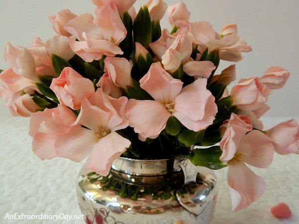 Dainty Envelope Fruit Tarts - Powder Pink Mini Carnations Floral Arrangement - AnExtraordinaryDay.net