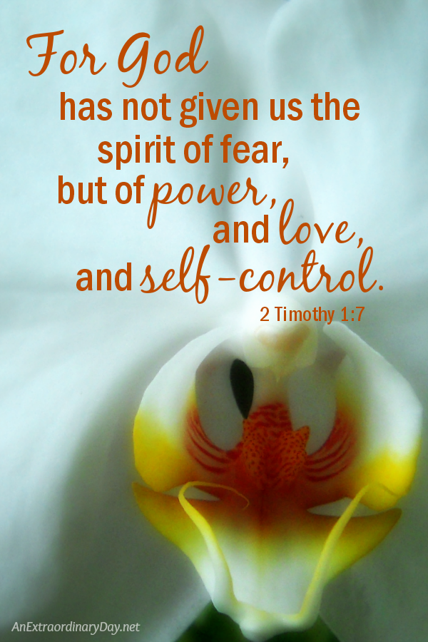Feeling anxious? For God has not given us the spirit of fear - 2 Timothy 1:7 