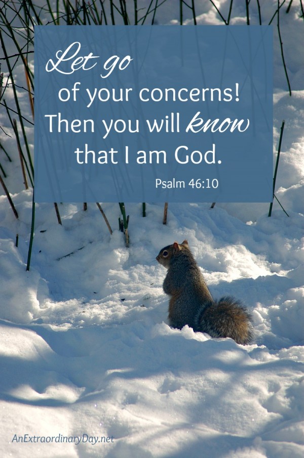Let go of your concerns! Then you will know that I am God. from Psalm 46 - AnExtraordinaryDay.net