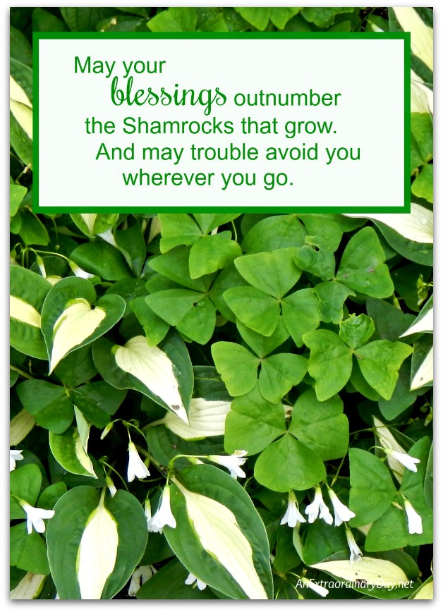 5x7 Printable Photo Print - St. Patrick's Day Blessing - AnExtraordinaryDay.net